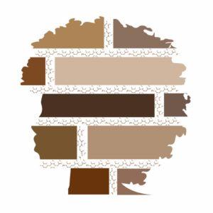 Melanin In Medicine, LLC Logo